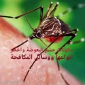 مكونات جسم البعوضة