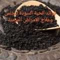 فوائد الحبة السودة